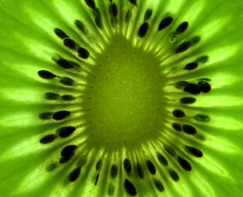 1_0-kiwi-dark-overlay